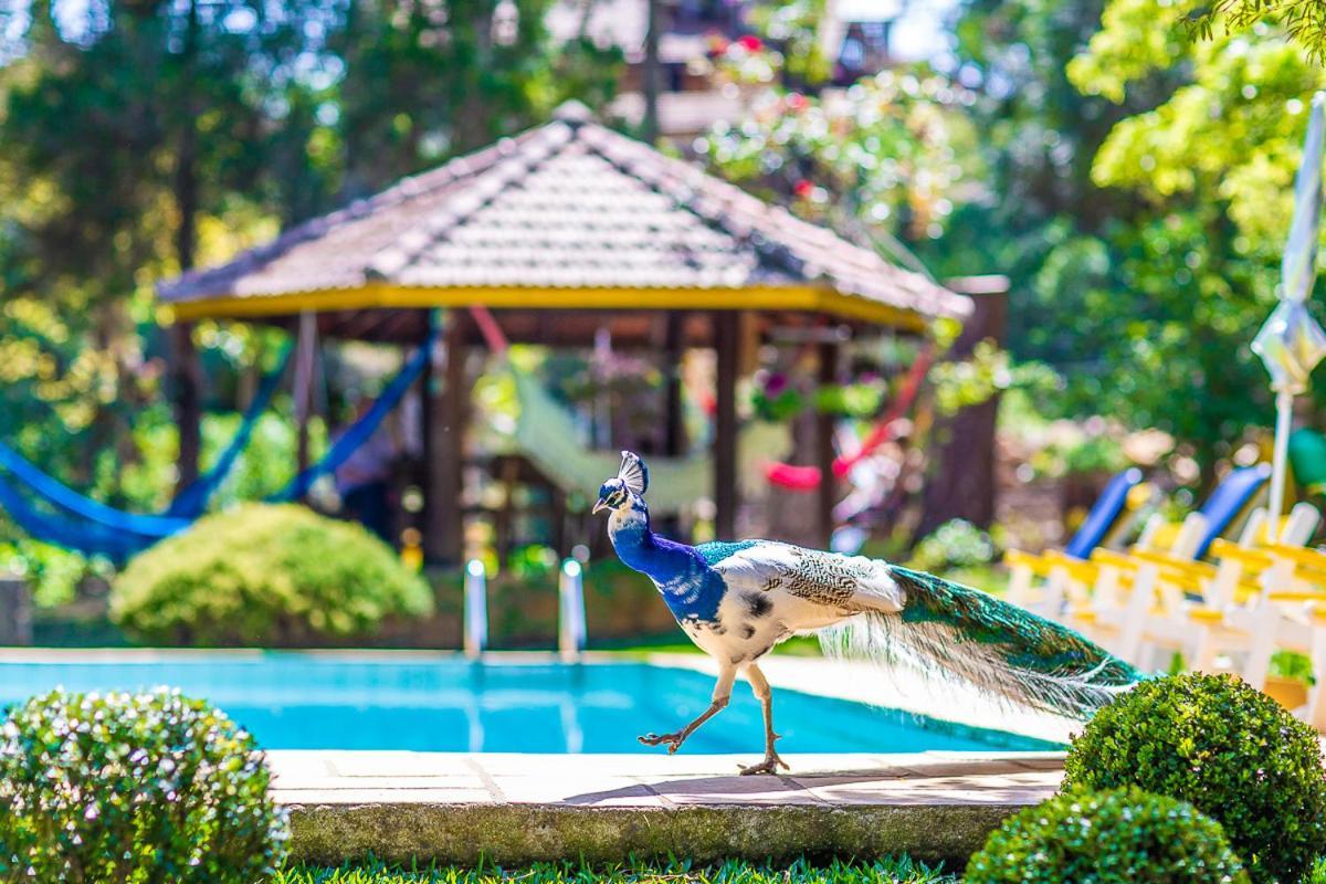 Pousada Villa D'Amore Monte Verde  Exteriér fotografie