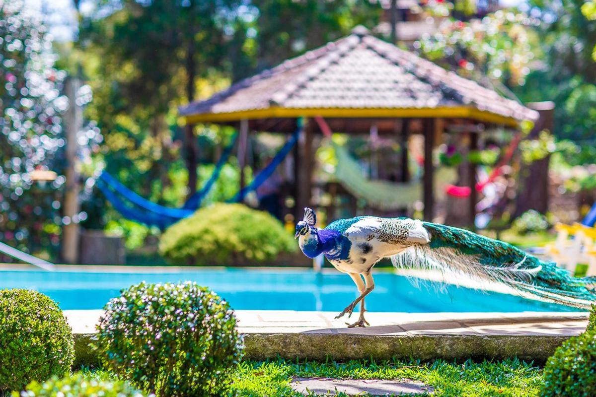 Pousada Villa D'Amore Monte Verde  Exteriér fotografie