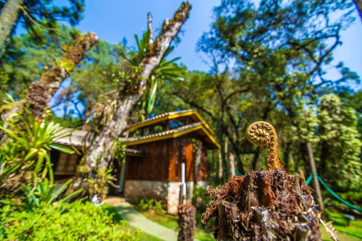 Pousada Villa D'Amore Monte Verde  Exteriér fotografie
