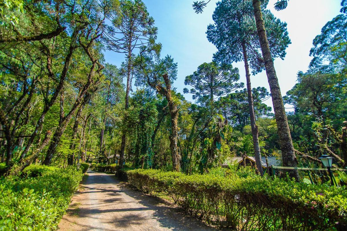 Pousada Villa D'Amore Monte Verde  Exteriér fotografie