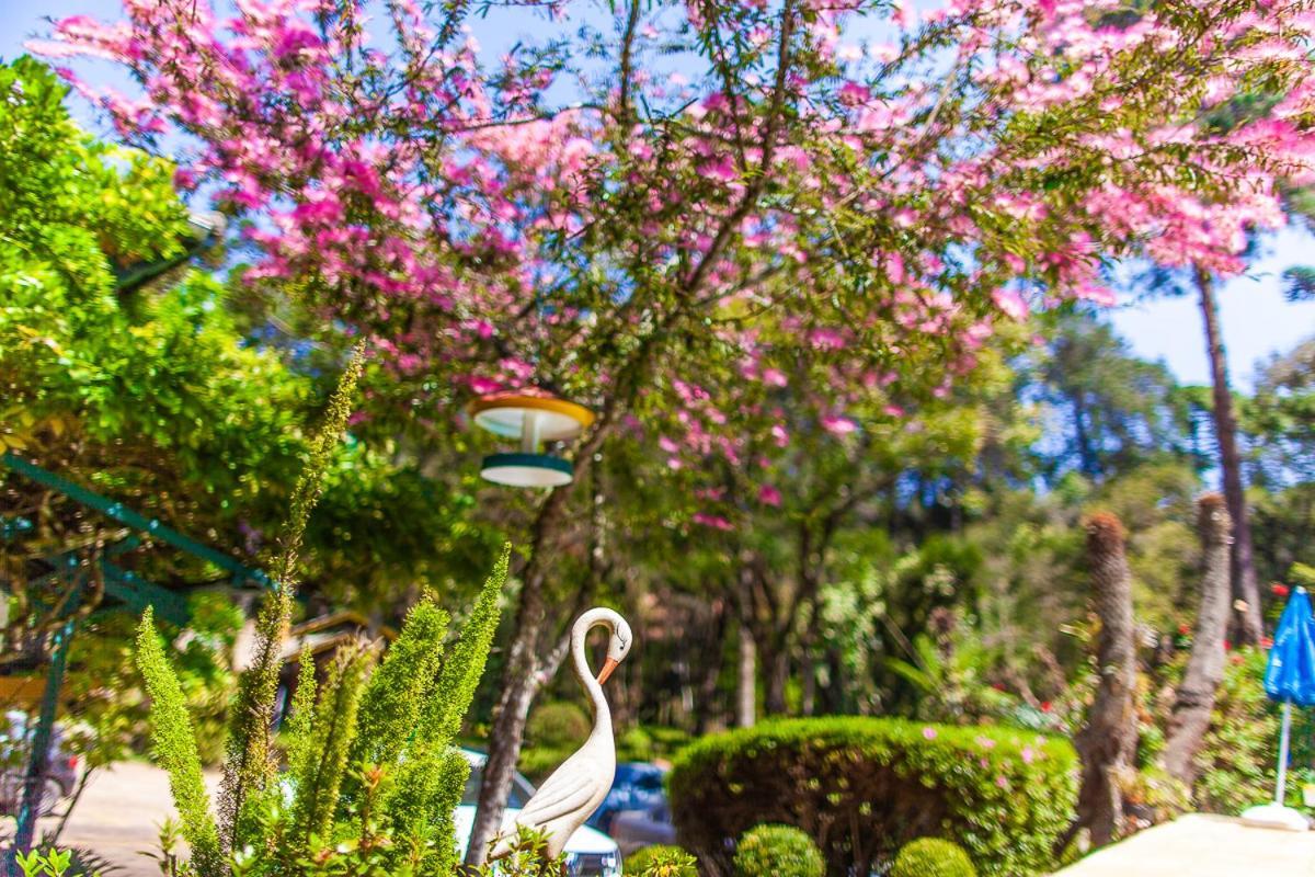Pousada Villa D'Amore Monte Verde  Exteriér fotografie