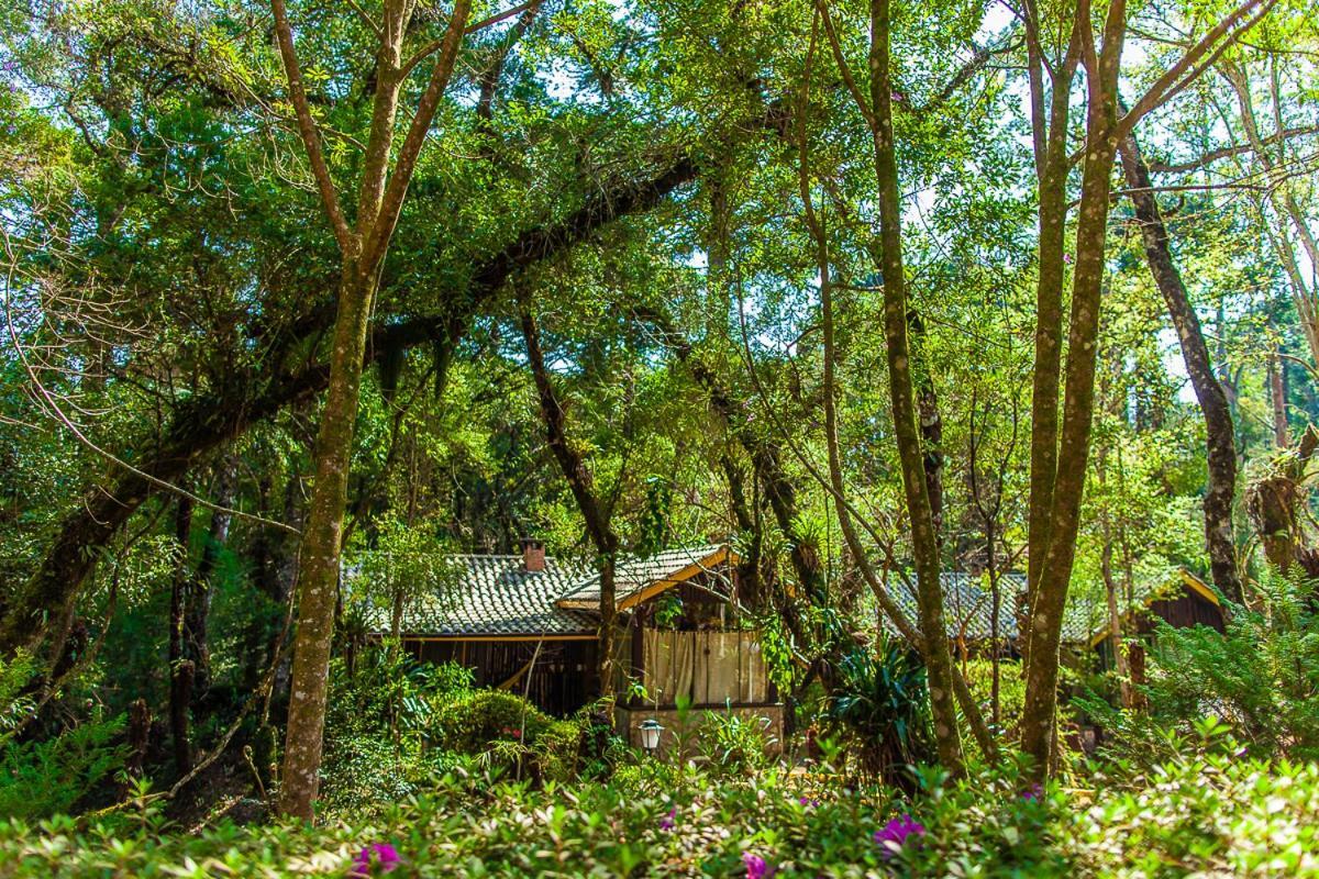 Pousada Villa D'Amore Monte Verde  Exteriér fotografie
